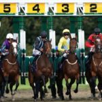 Different staff members in horse racing
