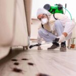 Why Termite Damage Is a Growing Issue for Tulsa Brick Homes