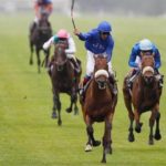 Horse betting tips for professionals
